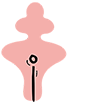 ISLA Foundation